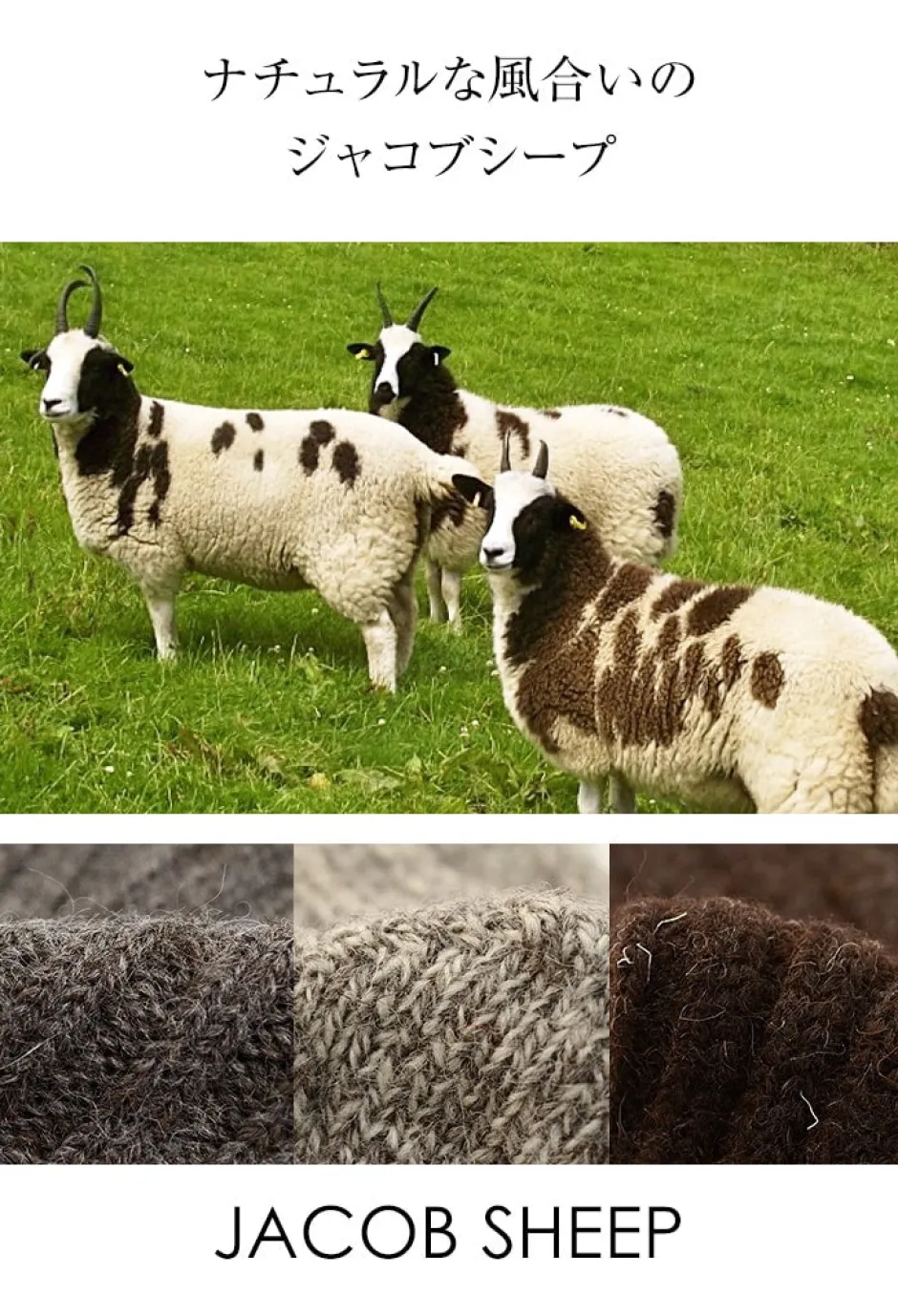 Socks^GRANGE CRAFT / Jacob Sheep Wool Socks